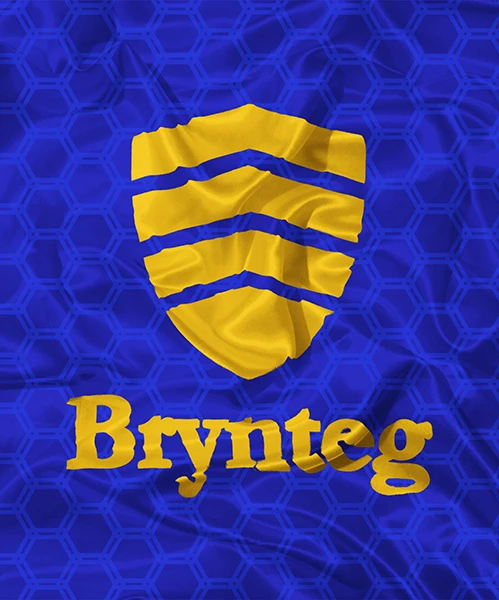 Brynteg School