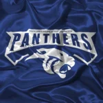 Cardiff Panthers